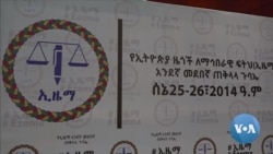 ፕሮፌሰር ብርሃኑ ነጋ በድጋሚ የኢዜማ መሪ ሆነው ተመረጡ 