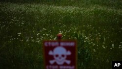 Flowers in a field near a poster warning about mines in Lypivka, on the outskirts of Kyiv, Ukraine, June 14, 2022.