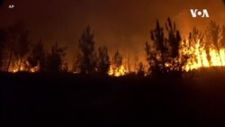 葡萄牙在天氣高溫期間發生山火 