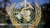 WHO tuyên bố dịch đậu mùa khỉ là tình trạng khẩn cấp y tế toàn cầu