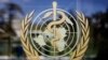 Ủy ban WHO ủng hộ việc tiêm tăng cường bằng vắc xin cải tiến nhắm vào Omicron 