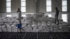 FILE - Men carry a bags of wheat to be loaded on an aid truck in a U.N. storehouse on the outskirts of Semera, Afar region, Ethiopia, May 15, 2022. 