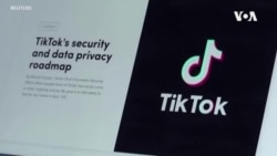 美聯邦通信委員會委員要求蘋果谷歌移除TikTok 