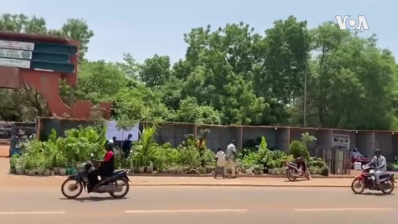 Ouagadougou abrite le salon international de l'arbre