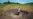 Anxiety Grows for Ukraine's Grain Farmers as Harvest Begins