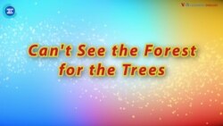 Thành ngữ tiếng Anh thông dụng: ‘Can't See the Forest for the Trees’
