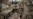Syria Conflict Status Quo 'Unacceptable,' UN Envoy Says