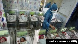 Perawat di Rumah Sakit Ibu dan Anak Surabaya, Jawa Timur, merawat 13 bayi baru lahir yang lahir pada 12 Desember 2012. (Foto: AFP/Juni Kriswanto)