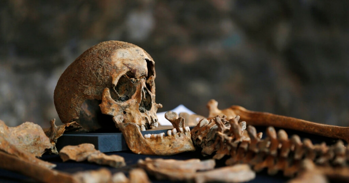 新发现：黑死病源头或在中亚天山地区