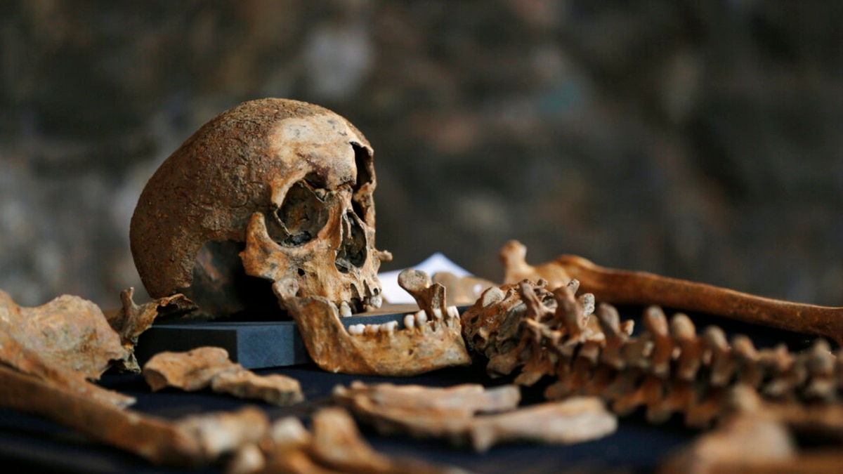 Black Death' Likely Originated in Central Asia, Researchers Say