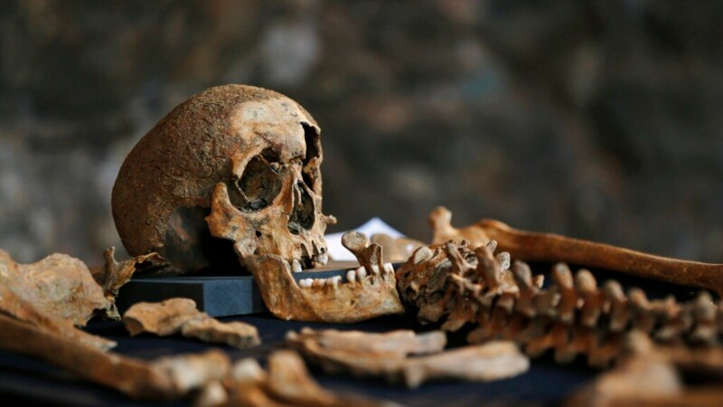 'Black Death' Likely Originated in Central Asia, Researchers Say