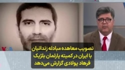 تصویب معاهده مبادله زندانیان با ایران در کمیته پارلمان بلژیک؛ فرهاد پولادی گزارش می‌دهد 