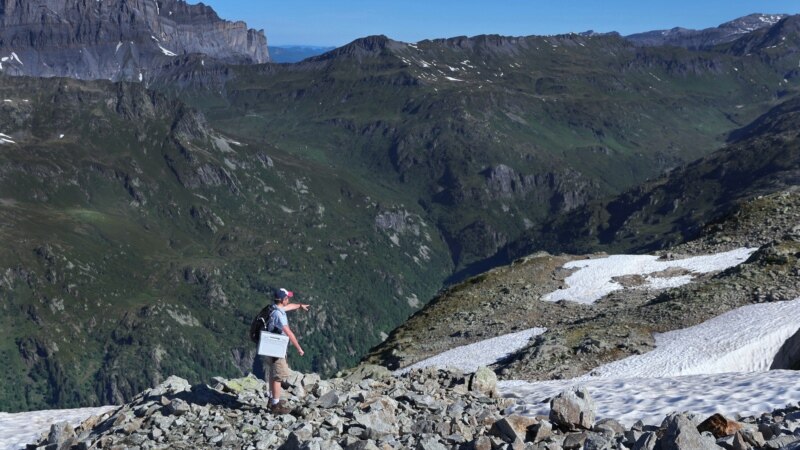 Scientists Study an Organism That Turns Snow Red