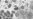 US Expanding Monkeypox Testing
