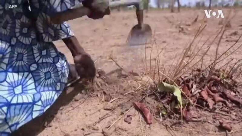 La crise alimentaire s'aggrave au Burkina