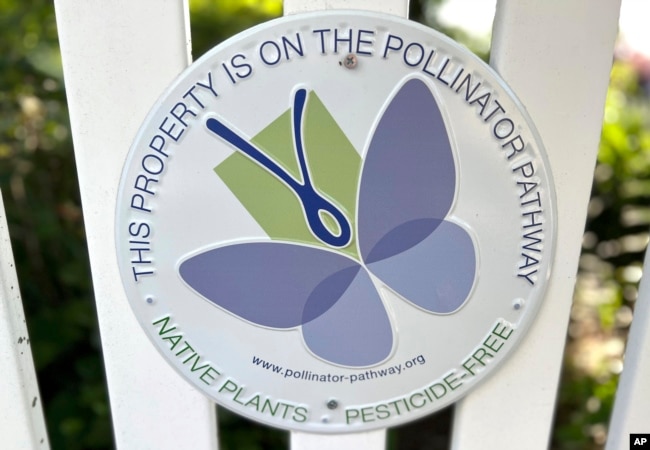 In this photo provided by Jessica Damiano, a yard sign says that the resident's garden is meant to attract pollinators.