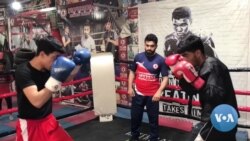 Afghan Refugee Fights to Return to Professional Boxing