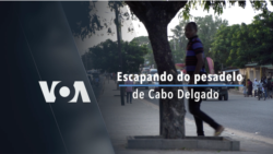 Escapando do Pesadelo de Cabo Delgado 