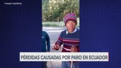 Ecuador: Millonarias pérdidas por paro nacional 