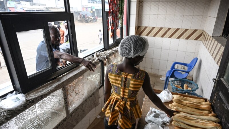 Face à l'inflation, les Ivoiriens veulent miser sur les céréales locales