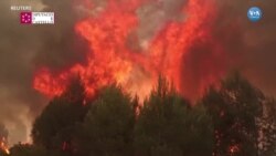 İspanya’da Orman Yangınları