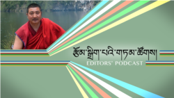 ཆབ་སྲིད་བཙོན་ཟུར་འཇིགས་མེད་མགོ་རིལ་དམ་པའི་སྙིང་སྟོབས།