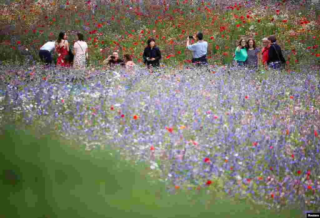 People visit the Superbloom, a botanical installation at the Tower of London in central London.