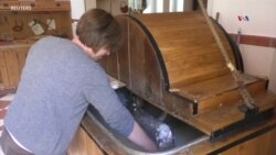 CIENCIA/SALUD: Papel como alimento para abejas