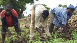 Le Ghana veut encourager le tourisme des noirs américains sur la terre de leurs ancêtres