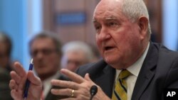 소니 퍼듀 미국 농무장관.