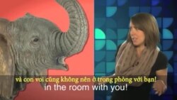 Thành ngữ tiếng Anh thông dụng: Elephant in the Room (VOA)