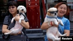 Animal activists hold a dog rescued from a dog meat trader (R) and a rescued stray dog, before a gathering against the Yulin Dog Meat Festival in Beijing, China, June 10, 2016.