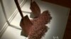 "China Tree" made of Chinese porcelain soy sauce pots by artist Joey Foster Ellis. ( VOA/C.Premoshis)