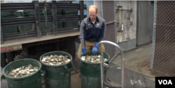 Tony Price, picking up donated oysters from restaurants.