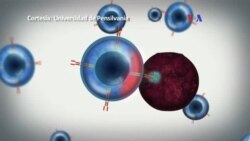 La genética en la lucha contra el cáncer