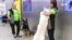 嗅探犬探測新冠病毒潛力可觀