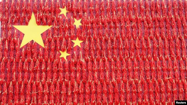 2018年9月21日,在中国河南省孟津县一个村庄,一名男子在用红辣椒组成的一面巨型中国国旗前摆姿势拍照。
