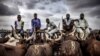 Peuls au Nigeria: la guerre de la terre