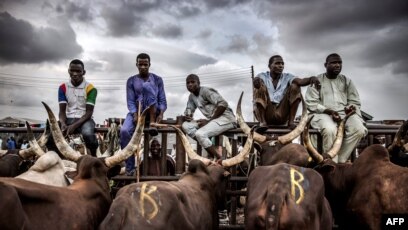 Site de rencontre gratuit au Nigeria Lagos