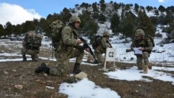 Azərbaycan və Türkiyə hərbçiləri birgə dağçılıq təlimləri keçir