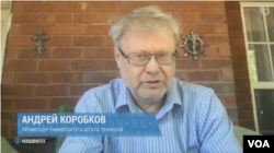 Профессор Университета штата Теннесси Андрей Коробков