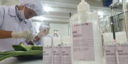 Produk hand sanitizer buatan mahasiswa Fakultas Farmasi Ubaya memanfaatkan ekstrak tanaman Lidah Buaya (Foto: VOA/ Petrus Riski).