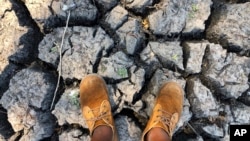 File — A man stands in a sun-baked dried up watering hole in Mana Pools National Park, Zimbabwe, as the United Nations' food agency says months of drought in southern Africa, triggered by the El Nino weather phenomenon, has had a devastating impact on more than 27 million people.