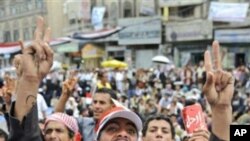 반정부 구호를 외치는 시리아 시위대