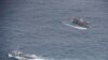 Pompeo sobre barcos chinos cerca de Galápagos: "Profundamente preocupantes"