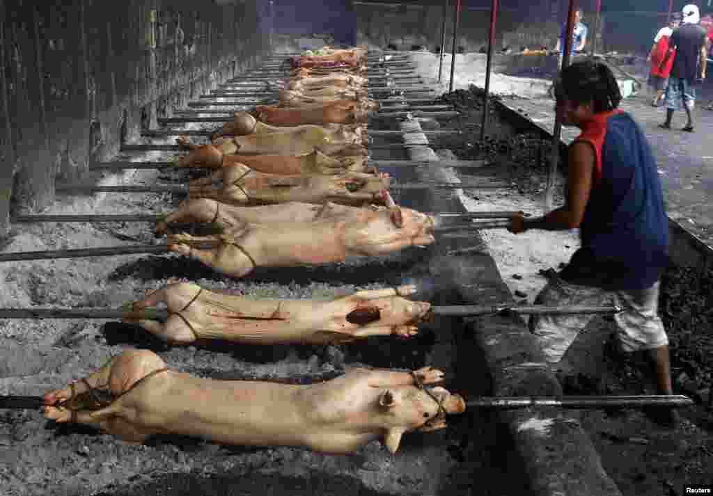 A worker roasts a row of pigs, known as locally as "lechon", to be served during new year celebrations, Manila, Philippines, December 31, 2012. 