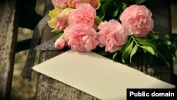 عکس تزئینی