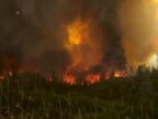 wildfire