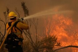 FILE - A firefighter with the San Bernardino County Fire Department hoses down hot spots from the Bobcat Fire in Valyermo, Calif., Sept. 19, 2020.