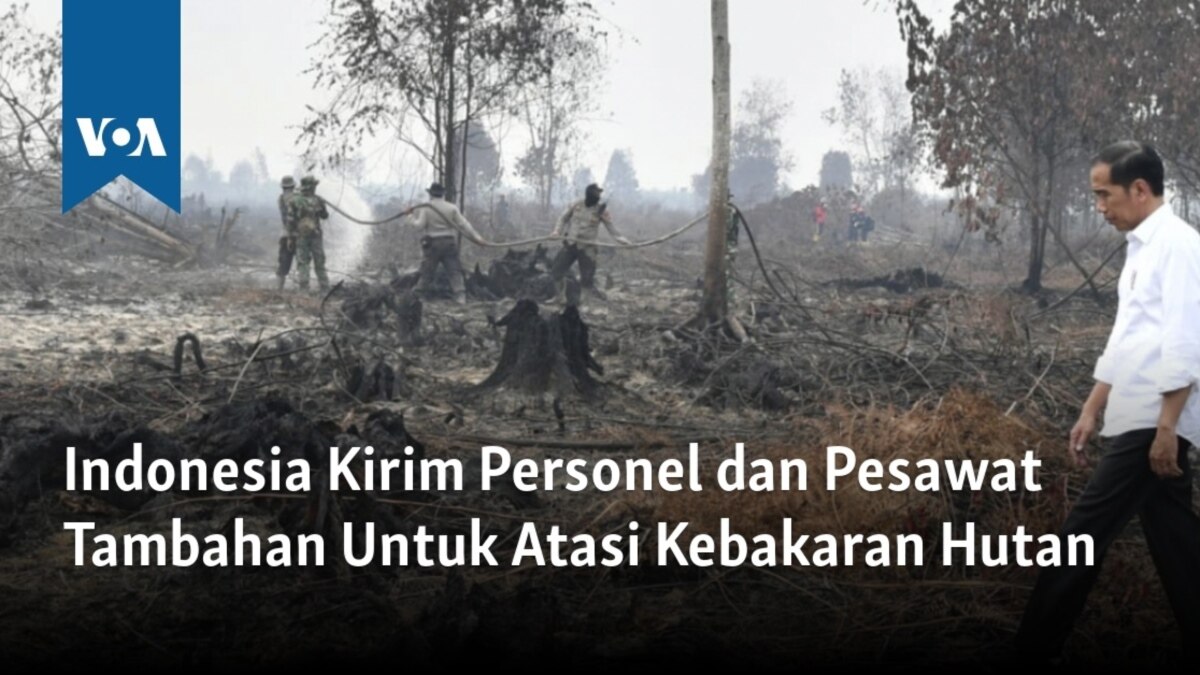 Atasi Kebakaran Hutan Pemerintah Kirim Personel Dan Pesawat Tambahan Ke Riau